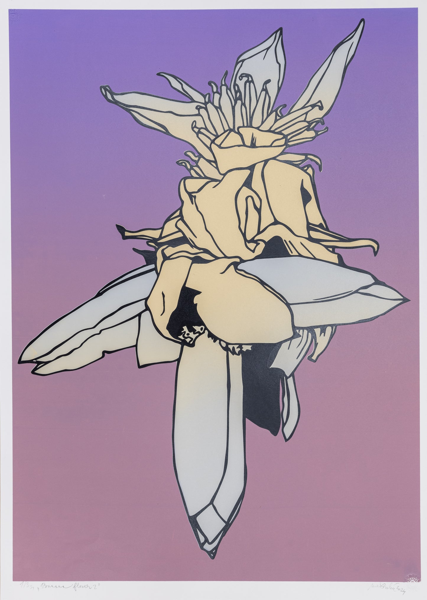 Banana Flower II.