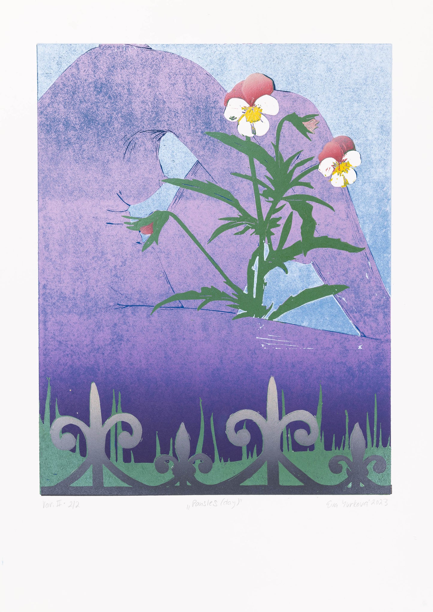 Pansies (day)