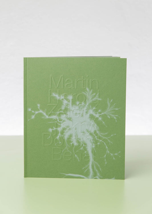 Zelené jiskry - Martin Herold & Dominik Běhal