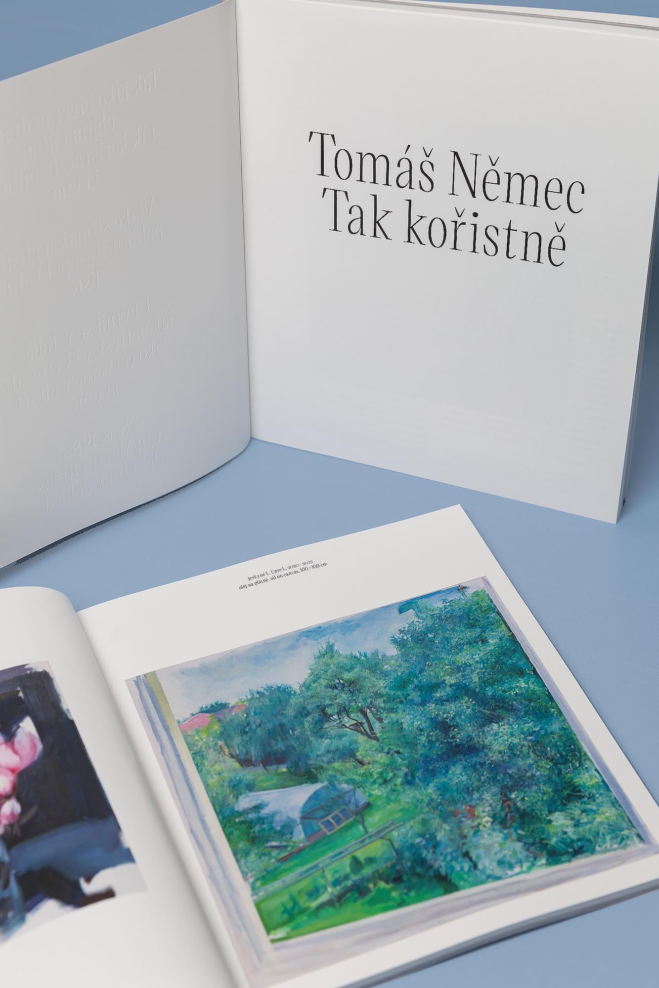 Tak kořistně – Tomáš Němec