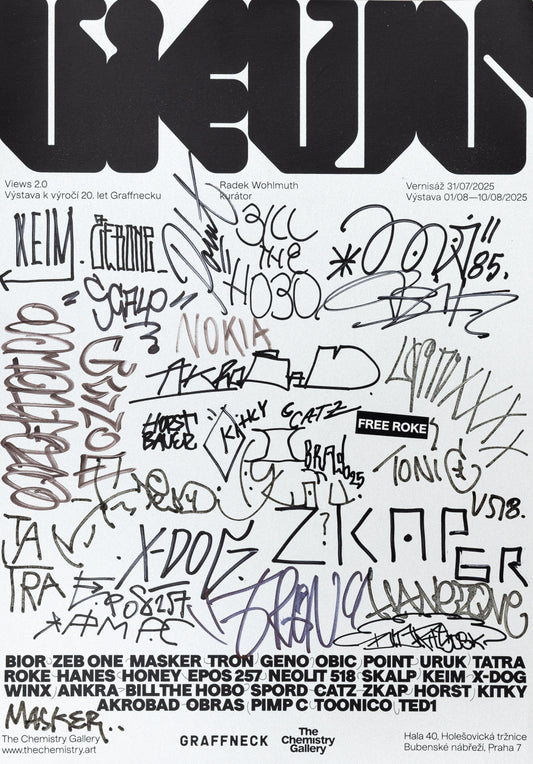 Print k příležitosti výstavy Views 2.0 (stříbrný papír)