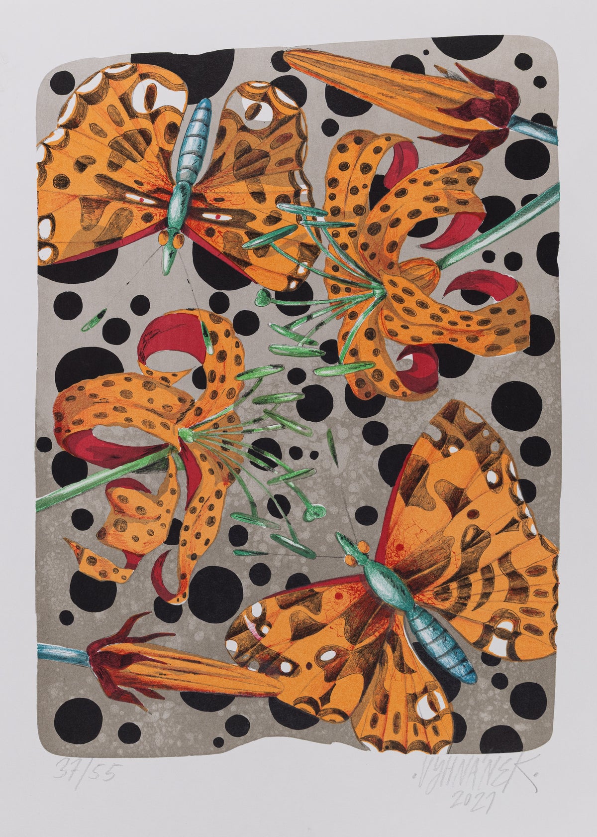 Tigerlilly