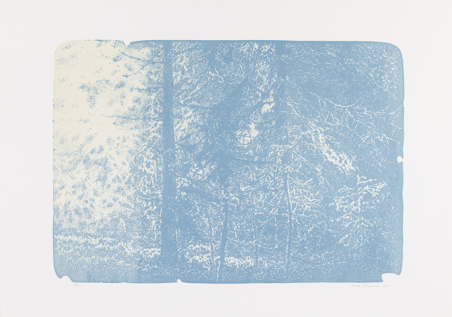 Lenka Falušiová - bez názvu (modrá)