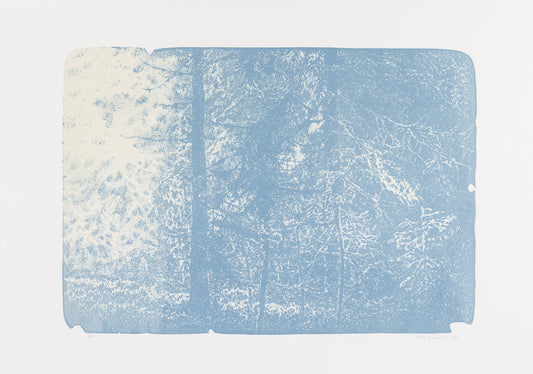 Lenka Falušiová - bez názvu (modrá)