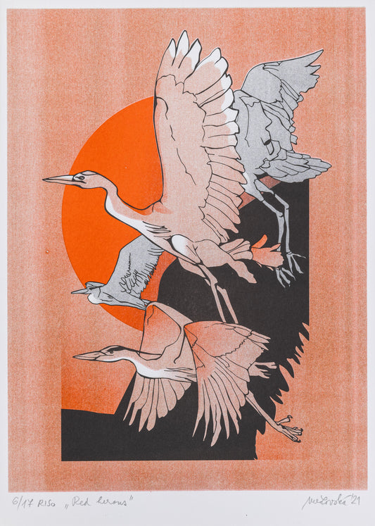 Red Herons