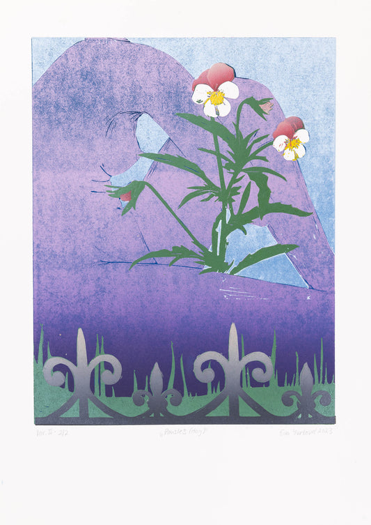 Pansies (day) 