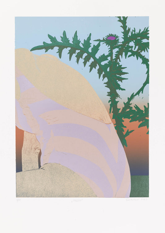Thistle 