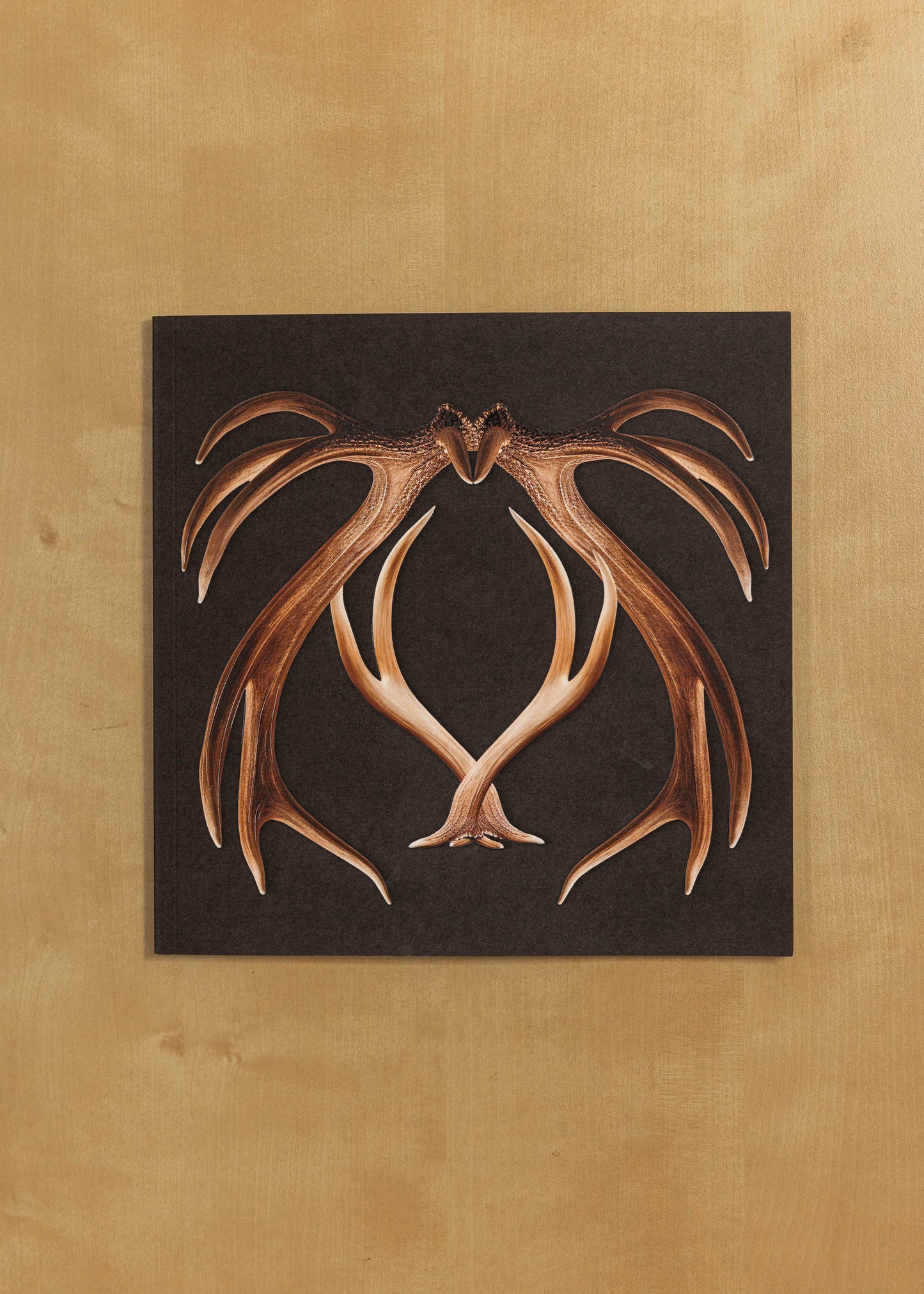 Myslivecký realismus vol.2